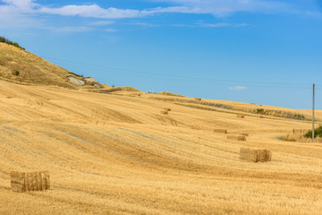 Summer landscape in Tuscany.