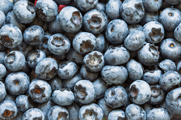 Fresh blueberry background