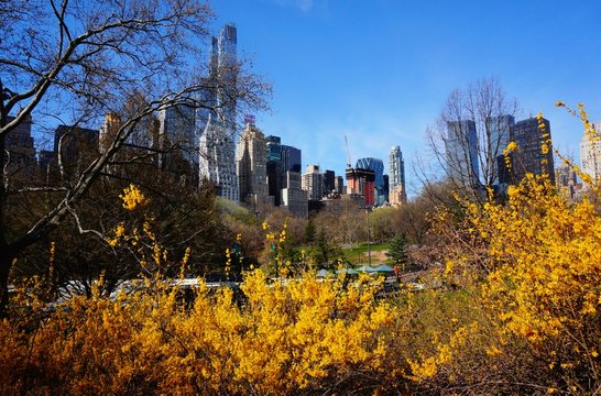 Central Park, New York City