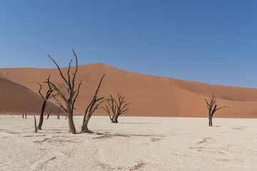 Deadvlei