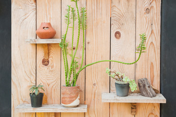 Small clay plant pot on wooden shelf with wood background.