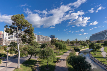 Fototapeta na wymiar Turia River gardens Jardin del Turia, leisure and sport area. Pedestrian walk way. Valencia, Spain