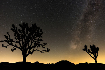 Fototapeta na wymiar Milky Way in Joshua Tree