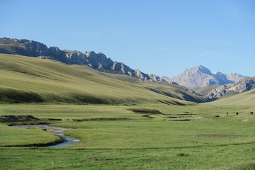 Fototapeta na wymiar Kirghizistan - Paysage