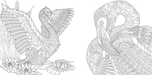 Coloring page collection of swan and flamingo. Freehand sketch for adult antistress colouring book in zentangle style.