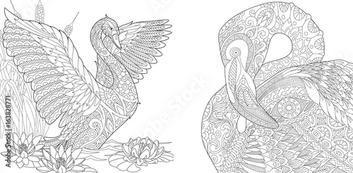 "Coloring page collection of swan and flamingo. Freehand ...