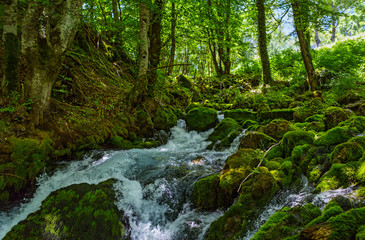 Obraz premium Mountain Montenegro