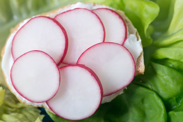 healthy small open sandwich with radish selective focus