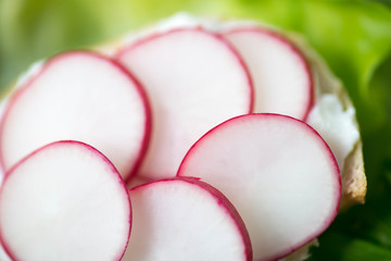 healthy small open sandwich with radish selective focus
