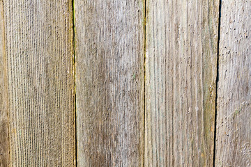 Background from wooden boards