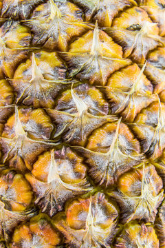 Closeup texture of pineapple skin