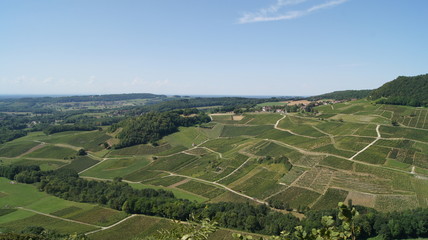 Fototapeta na wymiar vue panoramique vigne jura