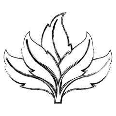leaves icon image