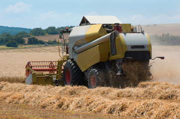 Obraz premium Grain harvester combine work in field