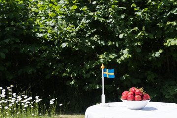 Swedish fresh strawberries