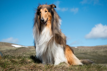 Relaxing on mountain trail
