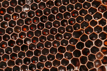 Honeycomb background
