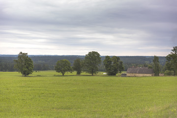 Fototapeta na wymiar Country side landscape view over meadow
