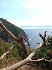 Sentier du littoral