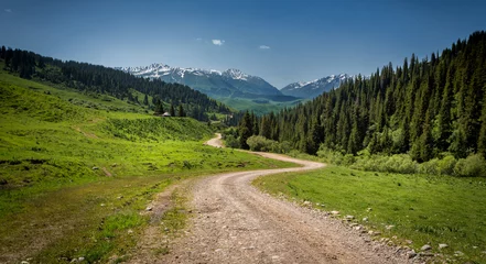 Stof per meter road to the mountains © Alexandr Vlassyuk