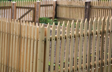 new garden fence