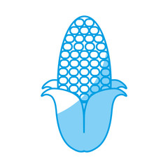 corn vegetable icon