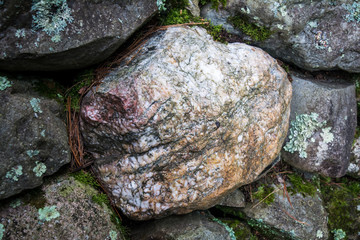 pretty rock among the plain rocks