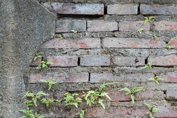 white concrete wall texture