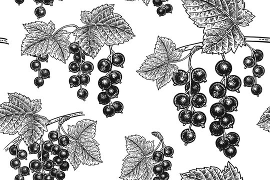 Seamless pattern with black currant.