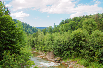 Fototapeta na wymiar Beautiful mountain river flowing through the green forest.Carpathians
