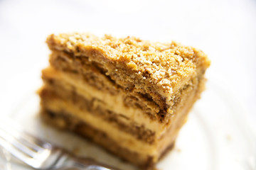 Slice of delicious honey cake on white plate