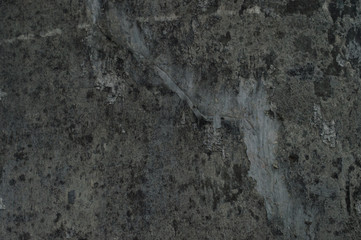 Grunge Texture #4