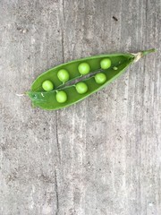peas in the pod