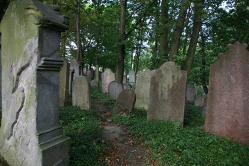 old jewish cemetery