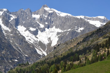 Fototapeta na wymiar montagne suisse