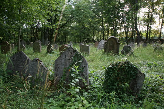 old jewish cemetery