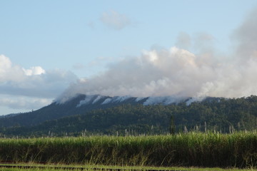 Burning forest, Australie