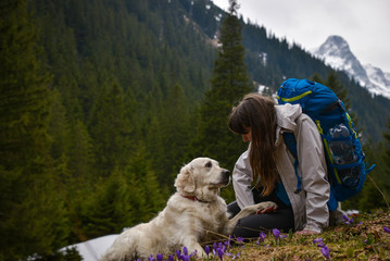 Powerful friendship bond between a girl and her golden retriever companion dog