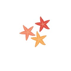 Starfish isolated icon