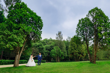 Handsome bride walking with groom on green grass on lawn with trees