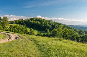 Fototapeta na wymiar Beskidy mountains, Poland, green sping meadow with dirt road