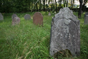 old jewish cemetery