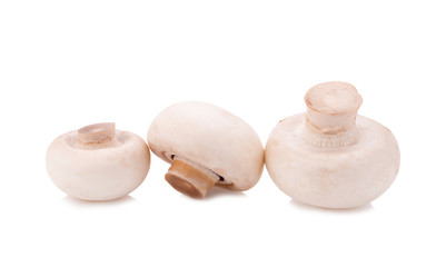 Champignon mushroom isolated on white background