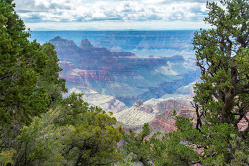 Grand Canyon Framed by Trees