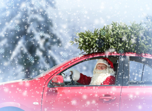 Santa Claus delivering Christmas tree by car during snowfall