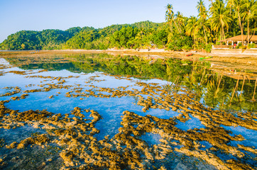 Fototapeta na wymiar Beautiful morning reflection during low tide, El Nido, Palawan, Philippines