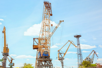 Hoisting cranes in shipyard