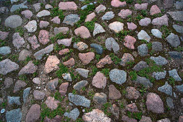 Vegetation breaks through paving stones