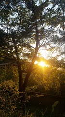 Fototapeta premium Tramonto