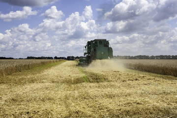 combine harvester working on a wheat field.